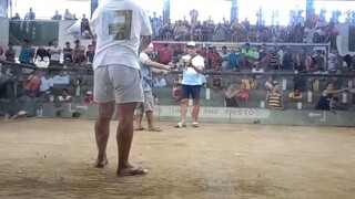 1hit delete 6mons old Gilmore/Vandamme#Kurt&Keir Gf