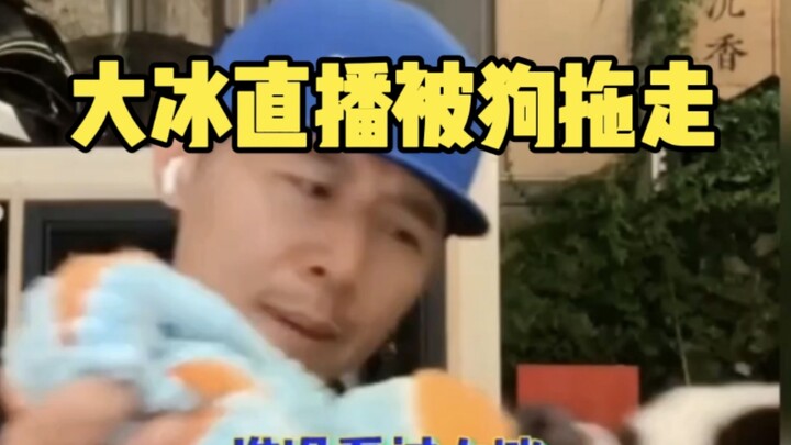 في البث المباشر، جرّه كلب كبير بعيدًا... هل هذا مشهد من مسلسل رسوم متحركة؟