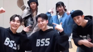 【Seventeen】Video kehidupan "Hamster sedang mencuci pantatnya"