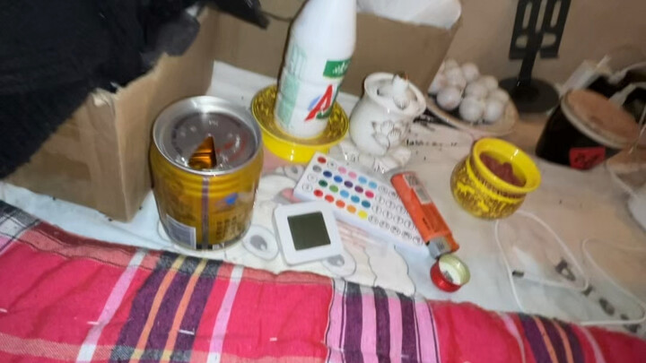 Hari ini sangat hangat. Cepat cuci kaki lalu tidur di dalam selimut!