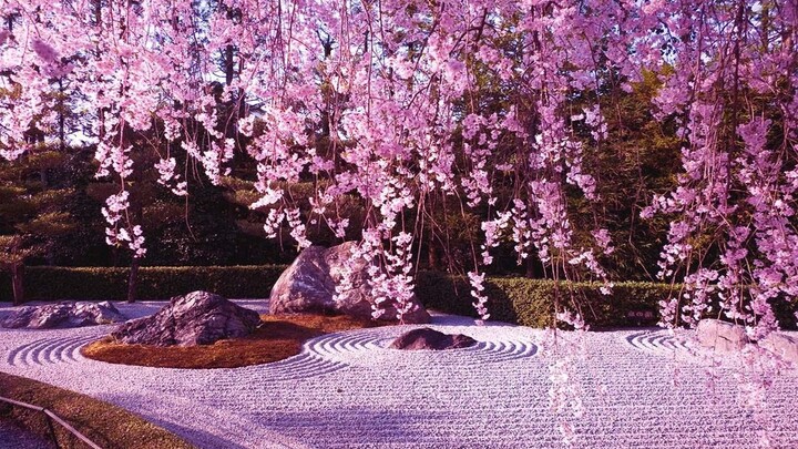 [Wang Shiyue & Liu Xinyu] Pirates of the Caribbean