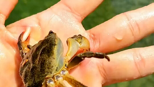 การอ้ามือออกต้องใช้ความกล้ามากแค่ไหน?