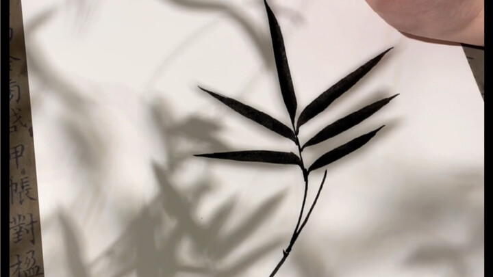 There’s a unique charm in using shadows as your template.