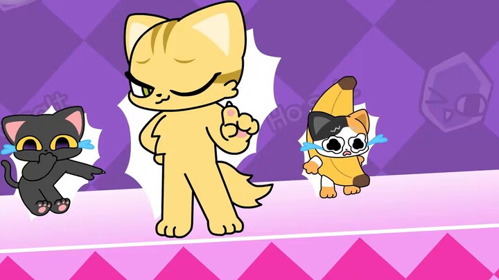 The Cat