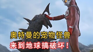 奥特曼碰到曾经的宠物，他是打还是不打那？