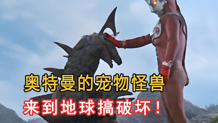 奥特曼碰到曾经的宠物，他是打还是不打那？