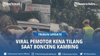 Viral, Pemotor Diduga Kena Tilang Bawa Kambing, Warganet Duga Muatan Jadi Bonceng Tiga