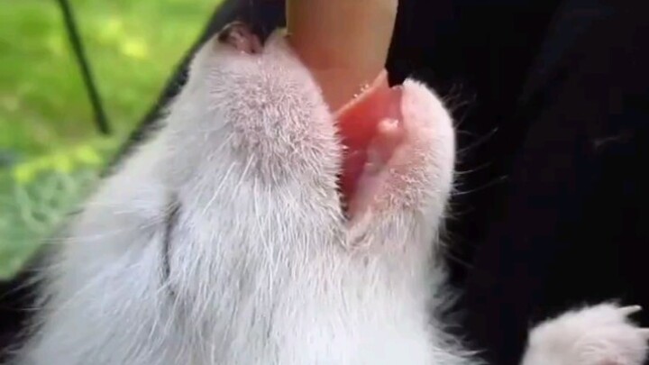 停止你大胆的想法