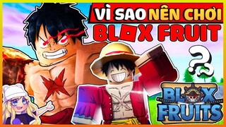 Top 5 Lý Do Nên Chơi Blox Fruit Mà Bọn Anti Fan Toxic Vì Cay Cú ?!