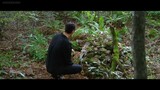Forest EP 29 eng sub