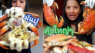 มันปูยั่วๆๆๆ จุกๆ ค่ะ Ep.907/ แกะปูตัวใหญ่ๆ 14 ตัว /กินมันปูเน้นๆ /ชีวิตในอเมริกา