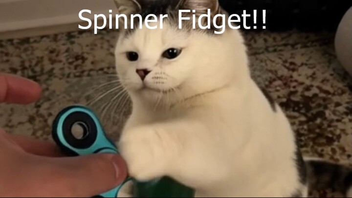 Spinner Fidget