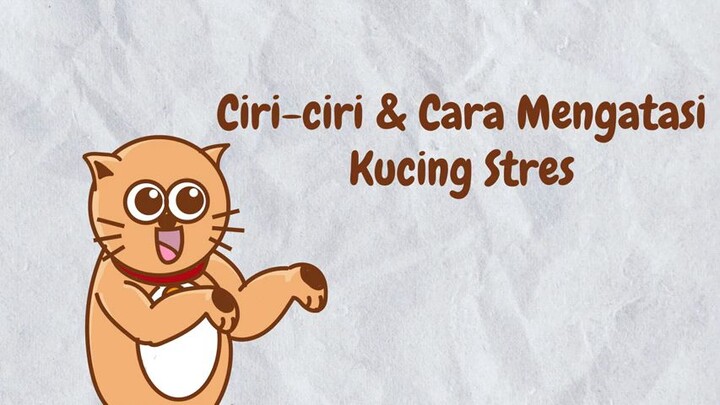 Kenali Ciri Ciri Kucing Stress dan Bagaimana Cara Mengatasi Kucing Stres