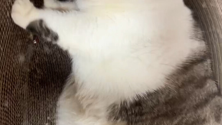 Atur 2 menit hari ini