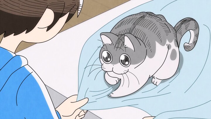 Meow Meow Sleepless Night 60 The cat that appears as soon as the bed is spread