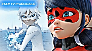 Miraculous Ladybug [AMV] | Middle of the Night