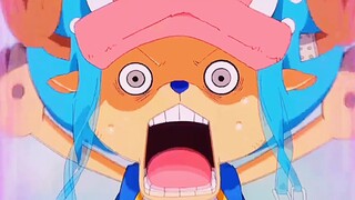 Sanji, ước mơ của bạn chẳng phải là all blue sao?