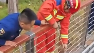 Dog: Hanging the neck? Hot is hanging