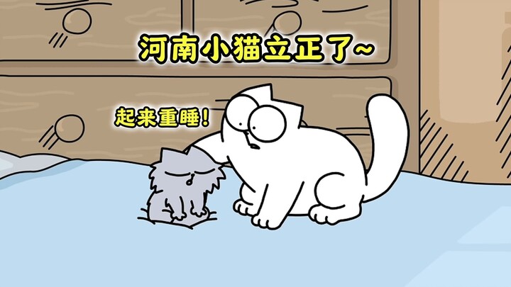 “The Strictest Dad in the Stray Cat World”