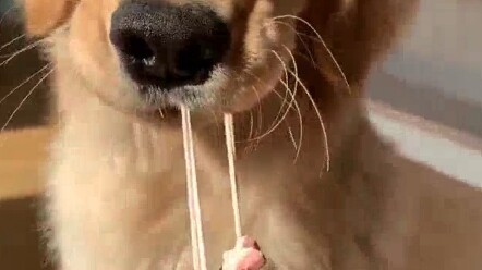 รบกวนช่วยดูหน่อยว่าจังหวะสุดท้ายของเธอนี่ตั้งใจทำรึเปล่า