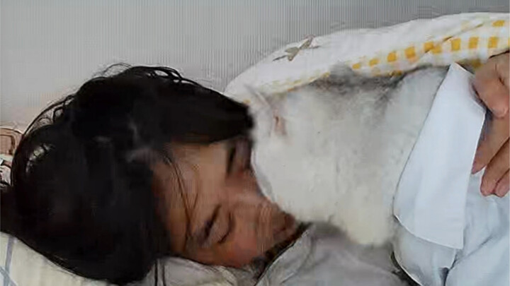 ได้ยินมาว่าทุกคนเป็นห่วงว่าถ้านอนกับแมวแล้วจะโดนแมวก้าวข้ามหน้าหรือเปล่า ความจริงก็คือ...