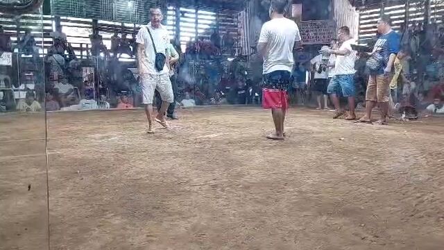 hurleeson lemon×black testing lang sampu anim pa tawagan pero hindi tayo pinahiya 😄😄😄