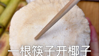 عود واحد من عيدان الأكل يمكنه بسهولة فتح جوز الهند، سهل وعملي للغاية