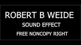 ROBERT B WEIDE SOUND EFFECT FOR VLOGG
