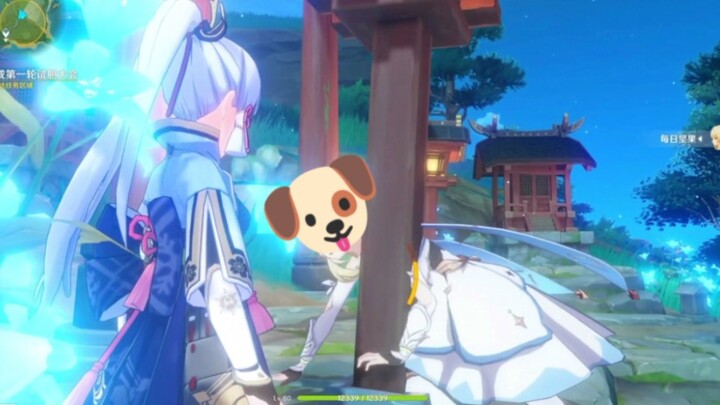 أنا كلب الآنسة نينغهوا! نقطة تسجيل الحضور الجديدة التي لا يجب أن تفوتها في الفعالية الجديدة!