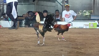 Win talisayin (ECA)