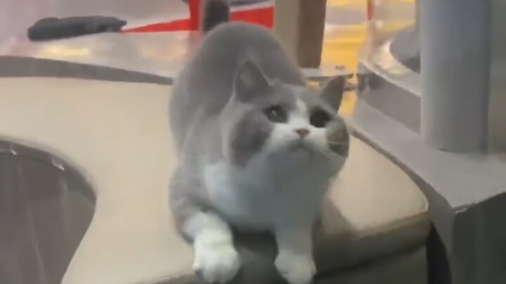 撸我，快