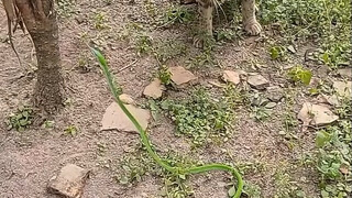 Oh my gosh, the cat treats are biting people～～