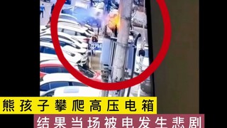 Một đứa trẻ đã trèo lên hộp điện cao thế và bị điện giật, dẫn đến thảm kịch.