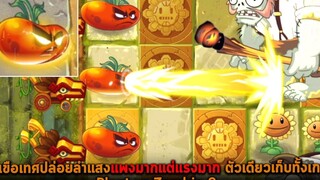 มะเขือเทศปล่อยลำแสงแพงมากแต่แรงมาก ตัวเดียวเก็บทั้งเกม Plant vs Zombie 2