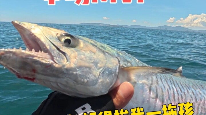 Semua ikan di laut ini pasti akan kena sapuan jaringku