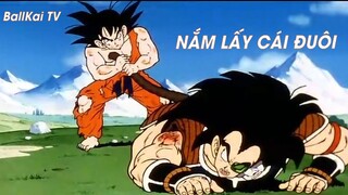 Dragon Ball Kai (Short Ep 3) - Trận chiến giữ Son Goku, Piccolo và Tradits