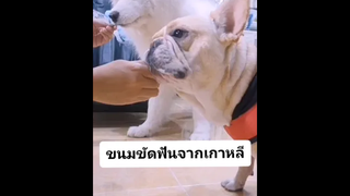 ต้องขัดฟันกันสักหน่อย