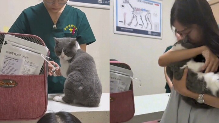 The kitten was euthanized, but before the end, it still managed to glance at its mom one last time.