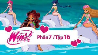 Những Nàng Tiên Winx Xinh Đẹp Phần 7 - Tập 16 Trở Về Vịnh Thiên Đường (Lồng Tiếng)