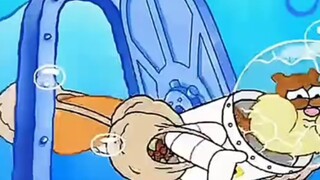 Sandy from SpongeBob SquarePants