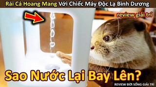 Rái Cá Hú Hồn không hiểu khi bắt gặp Chiếc Máy Độc Lạ Bình Dương || Review Giải Trí Đời Sống