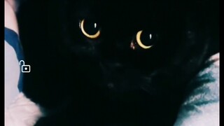 You're always playing invisible with me, it's so hard to find you! But I don't know why? The moment 