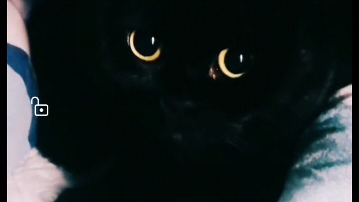 You're always playing invisible with me, it's so hard to find you! But I don't know why? The moment 