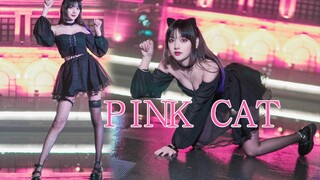 【Gikiki】五万fo感谢☆PiNK CAT★这粉猫怎么黄黄的