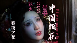 专家说的对，烟花是中国人最“无用”的情怀