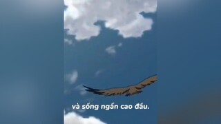 anime#animetiktok xuhuong fyppppppppppppppppppppppp konoha naruto animeedit