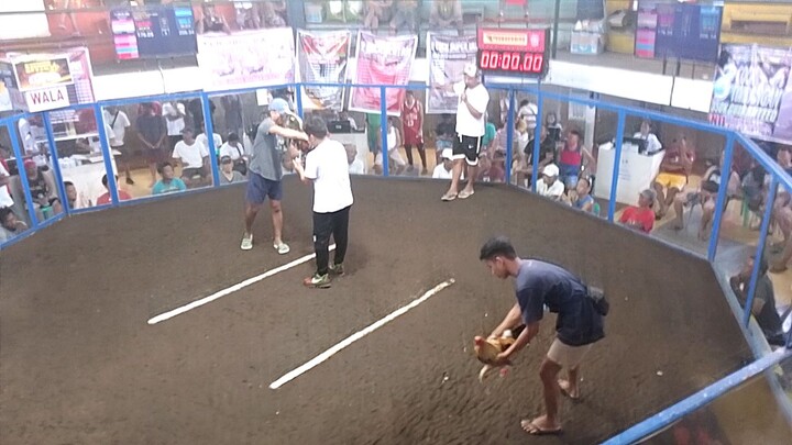 1st fight (win)no scratch 💪 basta bulik bumabalik