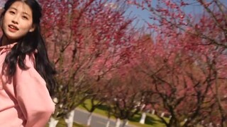 [Tình yêu trong khủng hoảng] Mùa xuân đang đến gần, sinh viên y khoa năm nhất nhảy múa ~