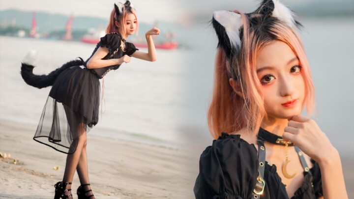 Meow~ Pink little wild cat~ So close to you ❤️ pink cat ❤️ [Xiao Qian]