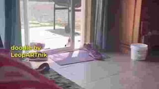 Ketika Ayam habis nonton TokRev😂